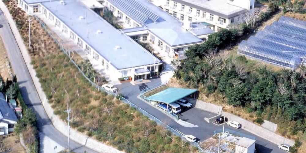 緑に囲まれた施設の全景
